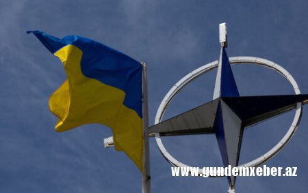 NATO Ukrayna ilə bağlı telekonfrans keçirəcək