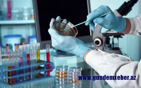 Britaniyada təhlükəli virus yayılıb
